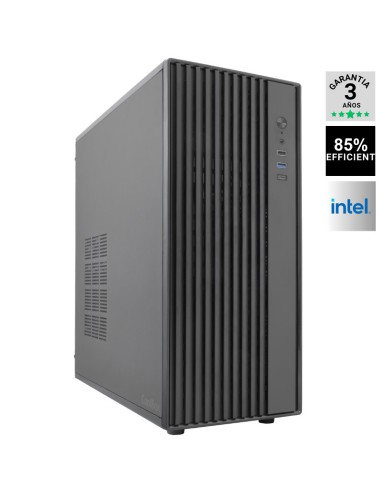 SERVIDOR GDX  ATX XEON E-2334  16GB 2X480GB SSD...